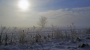 trabajos en frio