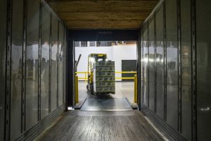 calzado de seguridad