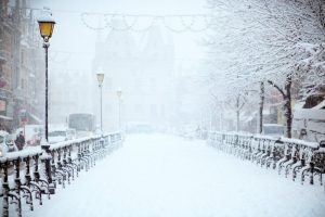 calzado invierno jalas